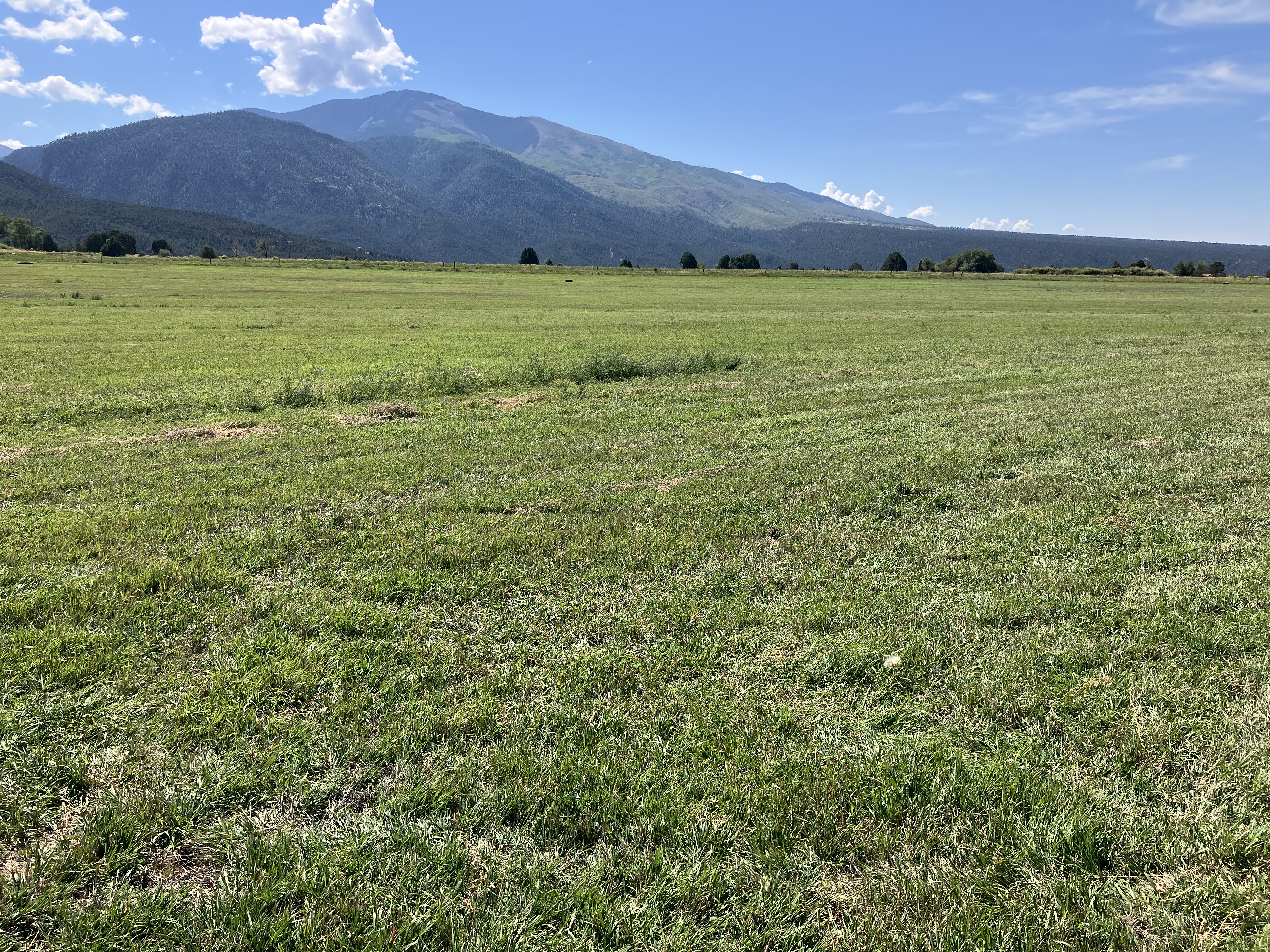 Taos Hay Meadows